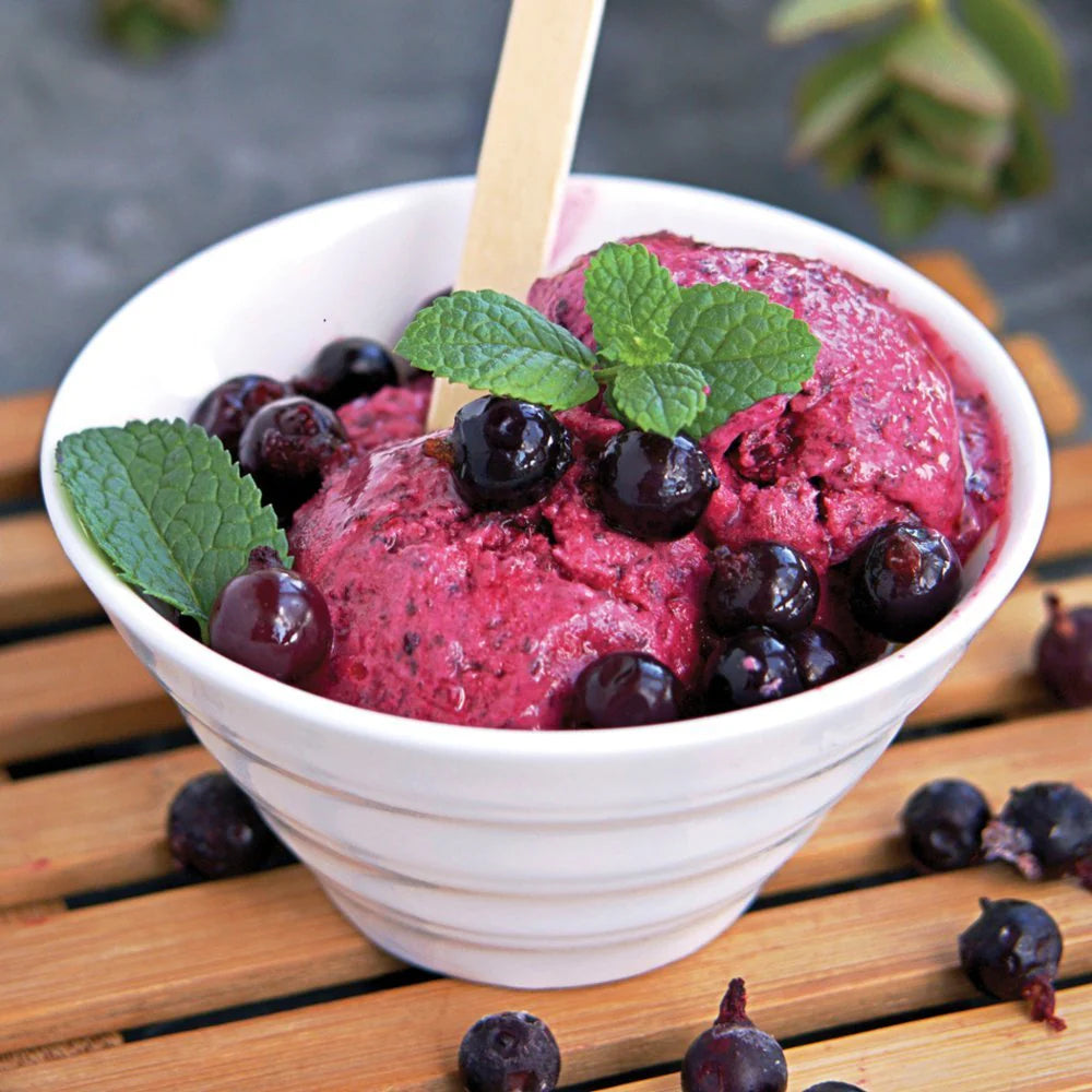 Ninja Creami Deluxe 11-In-1 Ice Cream and Frozen Treat Maker - Silver