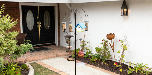 An Effective Way To Use A Bird Feeder and Common Mistakes To Avoid