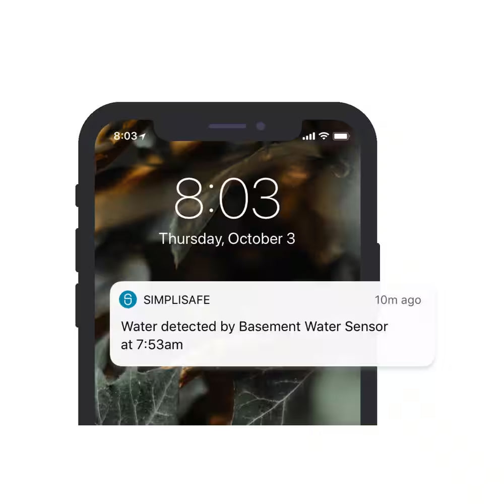 Smart Indoor Water Sensor, Wi-Fi Connected, Wireless (Battery) - White (1-Pack)